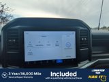 New 2025 Ford F150 STX w/ Equipment Group 200A image 4