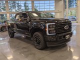 New 2025 Ford F250 Platinum image 2