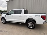New 2025 Ford F150 XLT image 5