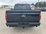 New 2025 Ford F150 XLT w/ Equipment Group 302A MID image 6