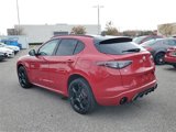 New 2025 Alfa Romeo Stelvio Tributo Italiano image 3