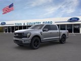 New 2025 Ford F150 Platinum w/ Equipment Group 702A High image 2