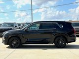 New 2025 Hyundai Palisade Calligraphy image 4