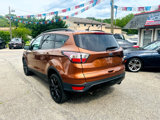 Used 2017 Ford Escape SE w/ Equipment Group 201A image 4