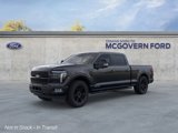 New 2025 Ford F150 Platinum image 2