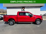 New 2025 Ford F150 XLT w/ Equipment Group 301A Standard image 4