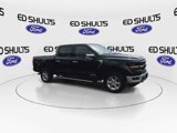 New 2025 Ford F150 XLT w/ Equipment Group 302A MID image 3