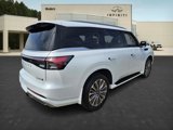 New 2025 INFINITI QX80 Luxe w/ Cargo Package image 5