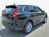 New 2026 Honda CR-V EX image 4