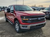 New 2025 Ford F150 XLT w/ Equipment Group 301A Standard image 3