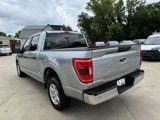 Used 2023 Ford F150 XLT image 3