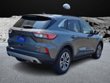 Certified 2022 Ford Escape SEL image 6