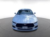 Used 2024 Ford Mustang Premium image 5