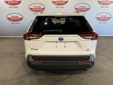 New 2025 Toyota RAV4 LE image 5