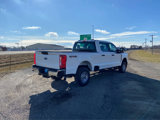 New 2025 Ford F250 XL w/ XL Chrome Package image 6