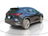 New 2025 Lexus NX 300h AWD w/ Luxury Package image 4