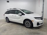 New 2026 Honda Odyssey EX-L image 3