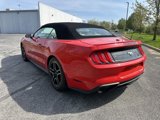 Used 2020 Ford Mustang Premium image 5