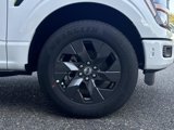 New 2025 Ford F150 STX w/ Equipment Group 200A image 3