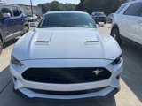 Used 2019 Ford Mustang GT Premium w/ Equipment Group 401A image 2