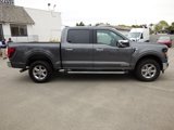 New 2025 Ford F150 XLT image 5