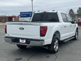 New 2025 Ford F150 XLT w/ Equipment Group 302A MID image 3