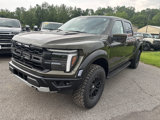 New 2025 Ford F150 Raptor image 5