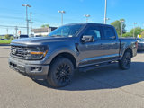 New 2025 Ford F150 XLT image 3