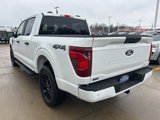 New 2025 Ford F150 STX image 6
