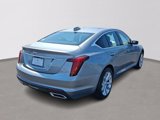 New 2026 Cadillac CT5 Premium Luxury w/ Technology Package image 4