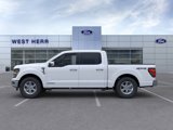 New 2025 Ford F150 XLT w/ Equipment Group 302A MID image 3