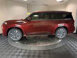 New 2025 INFINITI QX80 Sensory image 4