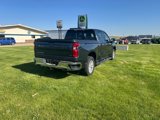 Used 2020 Chevrolet Silverado 1500 LT w/ All-Star Edition image 2