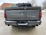 New 2025 Ford F150 XLT image 5