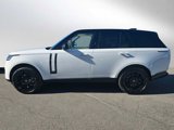 New 2025 Land Rover Range Rover SE image 4