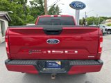 Certified 2020 Ford F150 XLT w/ Equipment Group 302A Luxury image 6