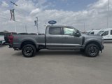 New 2025 Ford F250 Platinum image 2