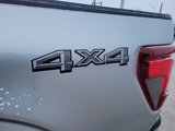 New 2025 Ford F150 STX w/ Equipment Group 200A image 5