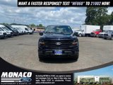 Certified 2024 Ford F150 XLT w/ Equipment Group 303A High image 3