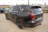 New 2025 Hyundai Palisade Calligraphy image 3