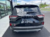 Used 2022 Ford Escape SE w/ Convenience Package image 4