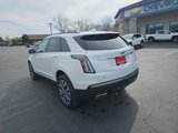 Used 2023 Cadillac XT5 Sportv image 3