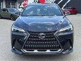 Used 2025 Lexus NX 350h AWD w/ Premium Package image 3