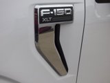 New 2025 Ford F150 XLT image 3