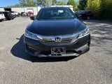 Used 2017 Honda Accord Sport Special Edition image 2