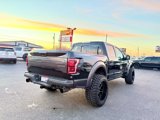 Used 2018 Ford F150 Raptor w/ Equipment Group 802A Luxury image 5