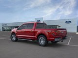 New 2025 Ford F150 XLT w/ Equipment Group 303A High image 6