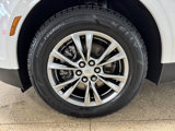 Used 2023 Cadillac XT5 Premium Luxury image 4