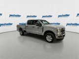 New 2025 Ford F250 XL w/ 360-Degree Camera Package image 2