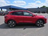 New 2025 Ford Escape ST-Line Select image 6